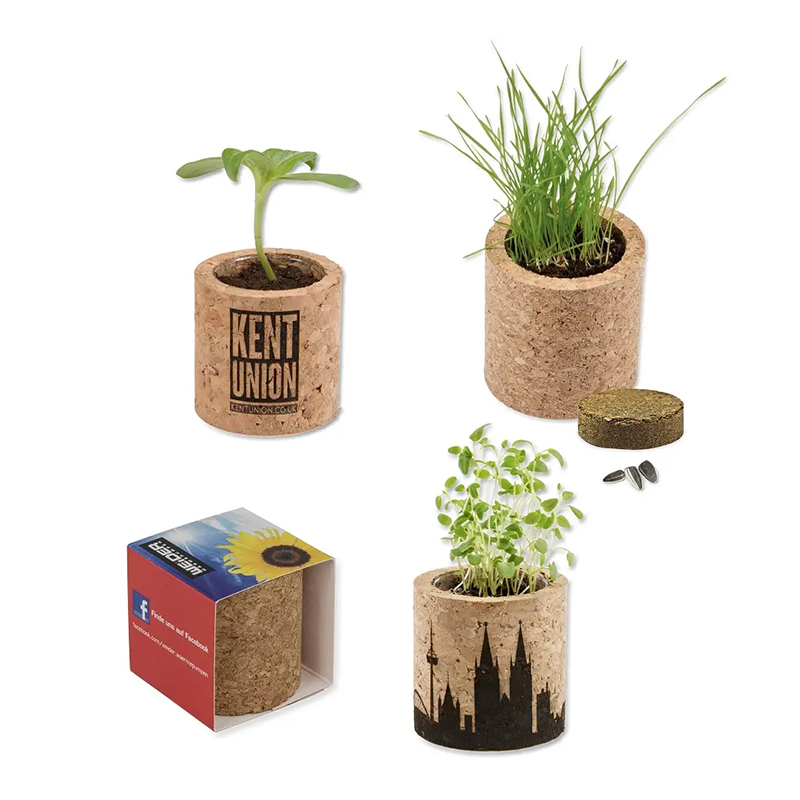 Ensemble de plantes en liège - image 3